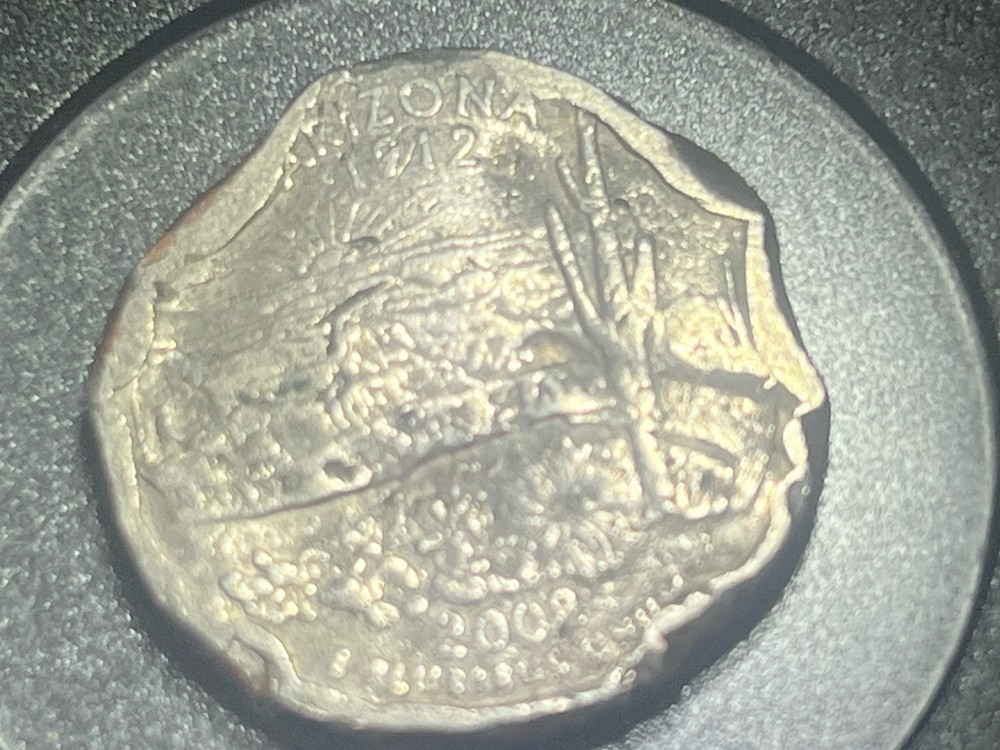 Multiple Clipped Errors On 2008 Arizona Quarter