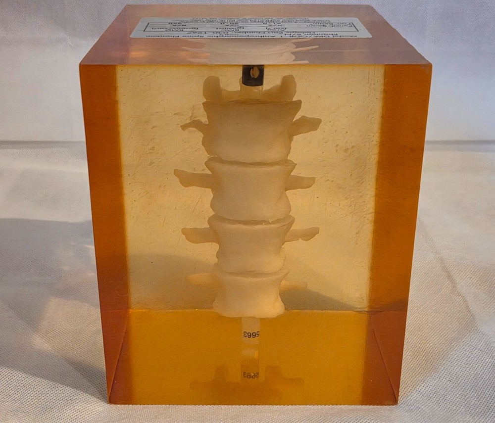 030-1967 Spine Phantom for Hologic QDR , Discovery C, Ci Bone Densitometers