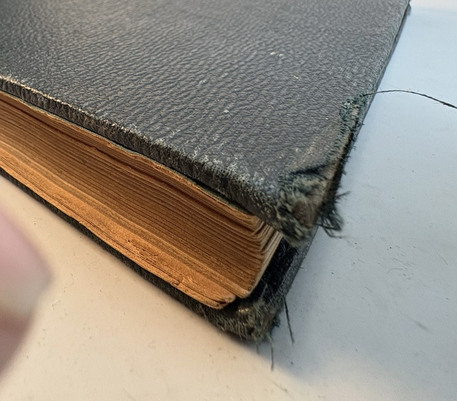 1919 Great War in Gravure WWI Photogravure Book NYTimes Portfolio – Loose Bind