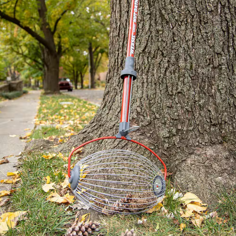 48 In. Weasel Large Nut Gatherer with Smooth Rolling Cage