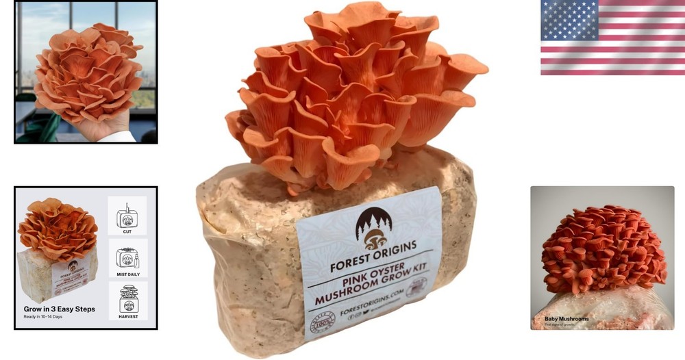 Pink Oyster Mushroom Grow Kit - Easy & Beginner Friendly