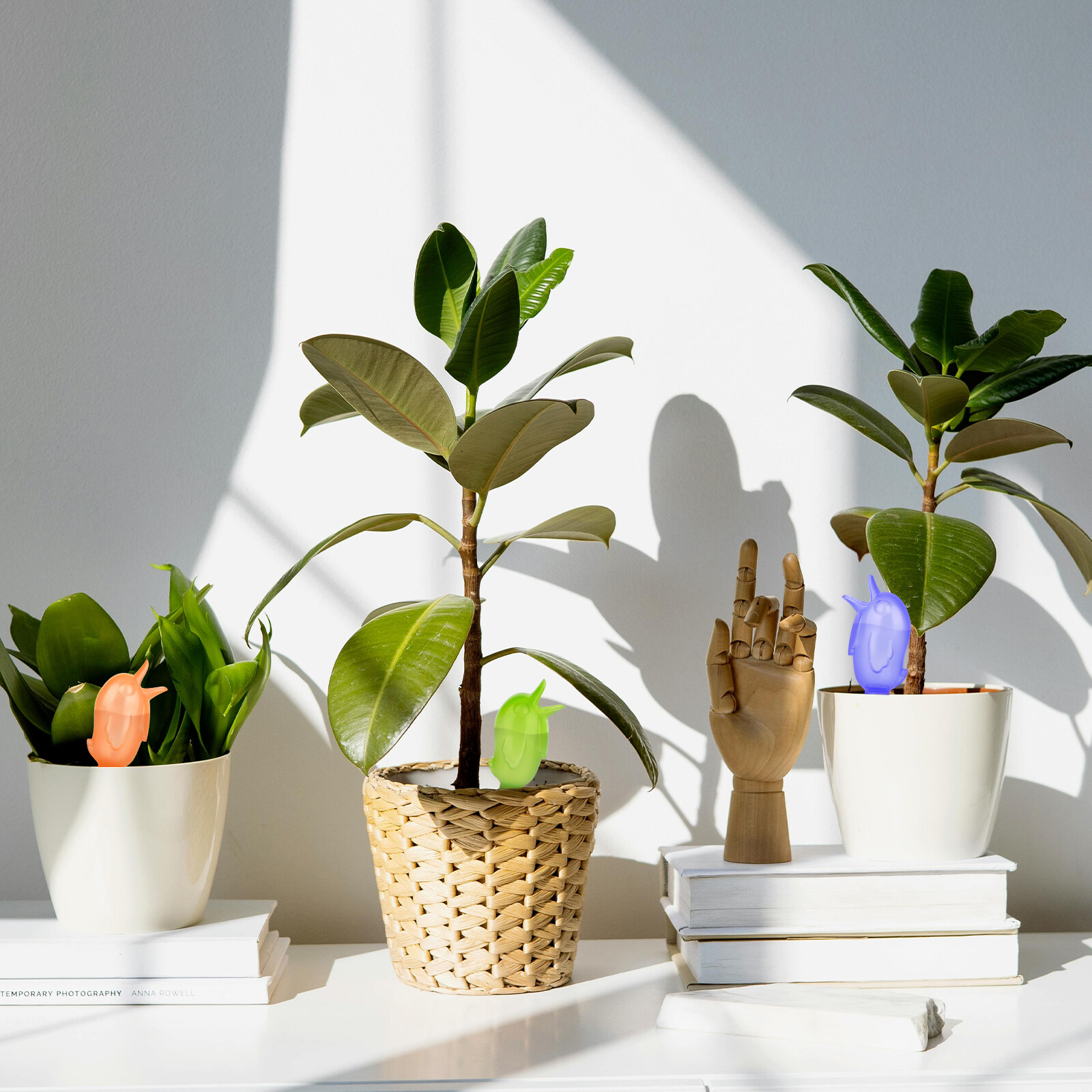 6pcs Plant Waterer Self Automatic Watering Spikes Devices