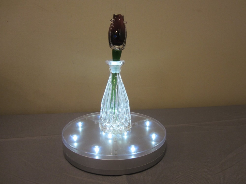 Acolyte E-Luminator Light Base 8-Inch Battery Operated 13 White LED Lights