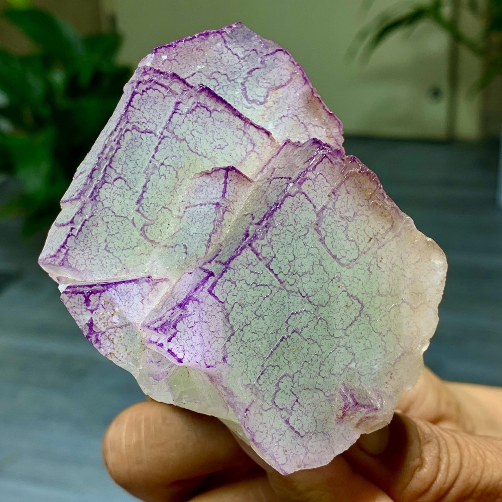 3 Code"Fluorite Cluster Crystal Mineral Specimen/Guizhou