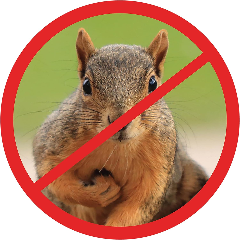 Scram, Squirrel by Slinky, Squirrel-Proof Bird Feeder Accessory That Guards Bird