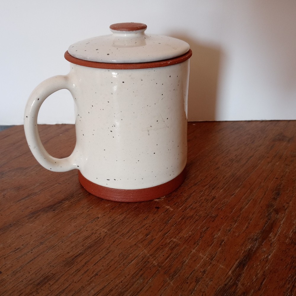 Beautiful Ceramic Tea Cup with Removable Infuser & Lid + Handle