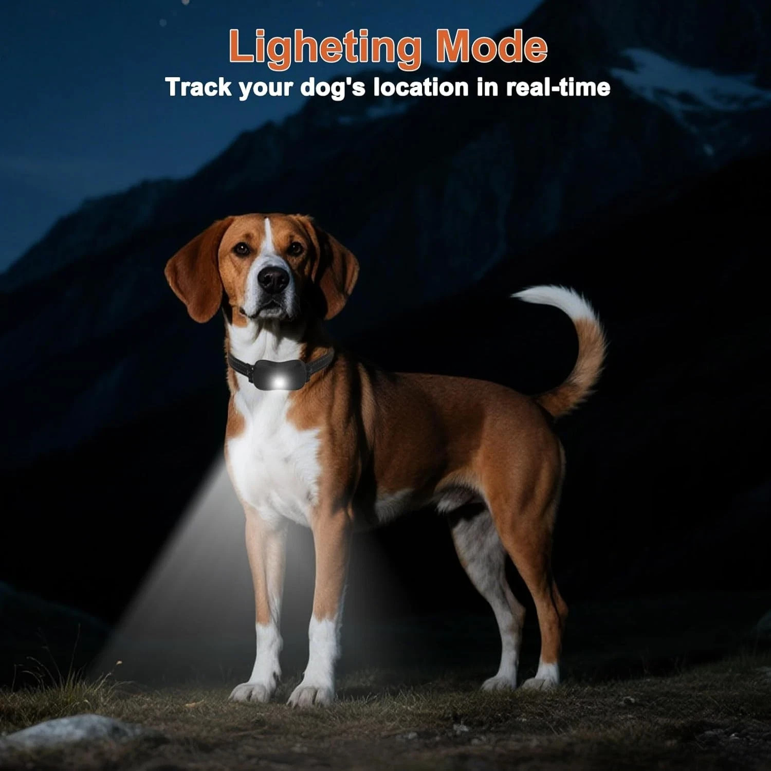 3300FT Shock Dog Training Collar For 2 Pet Rechargeable Remote Waterproof