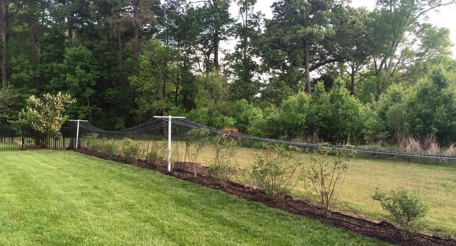 Poultry Netting 25' x 50' 1" Heavy Knotted Aviary Anti Bird Net Lasts 7-10 Years