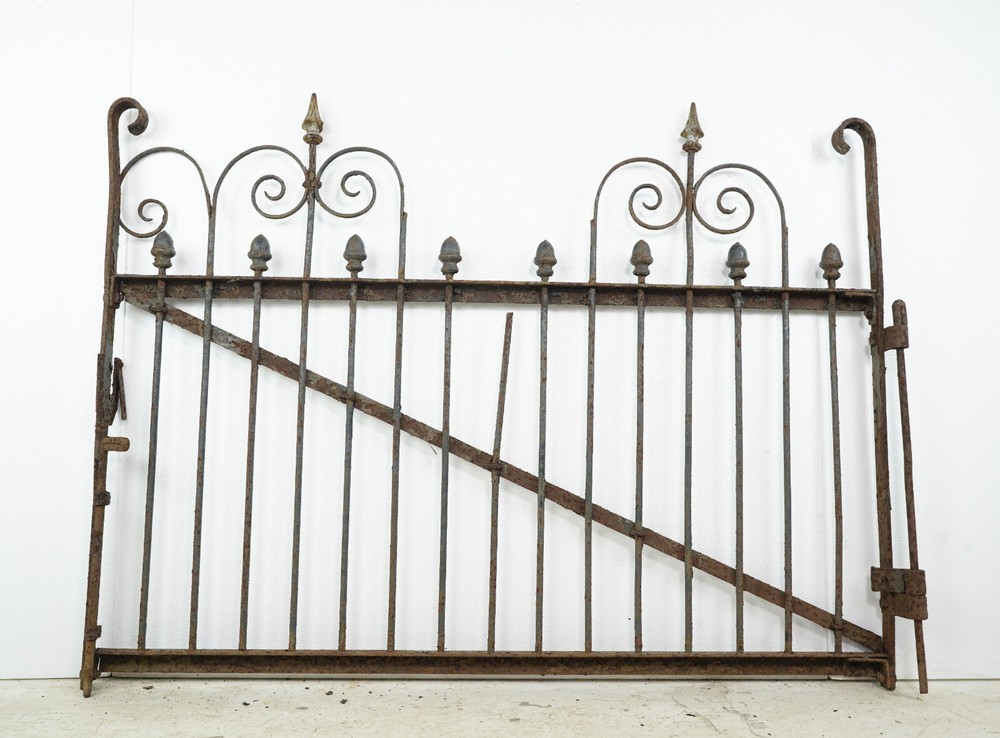 Reclaimed Curled Bars Wrought Iron 53 in. Privacy Yard Gate