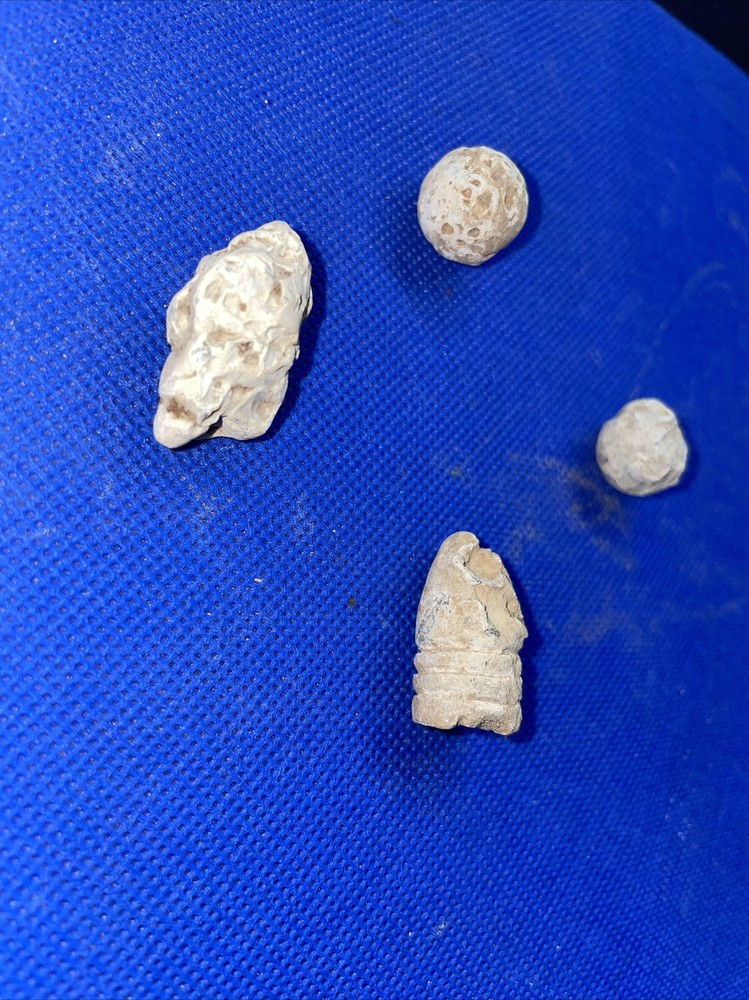 dug civil war relics