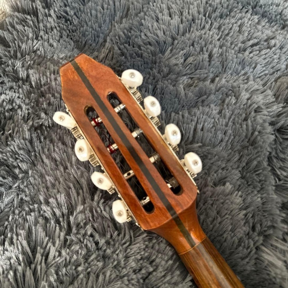 Misuzu Mandolin String Instrument Hard Case Supervised by Minoru Noguchi Luxury