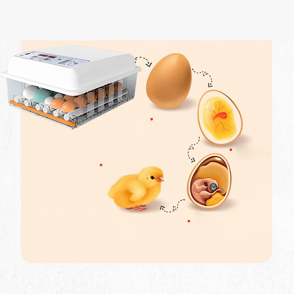 For Hatching Chicken Farm Egg Incubator 64 Eggs Fully Digital Automatic Hatcher