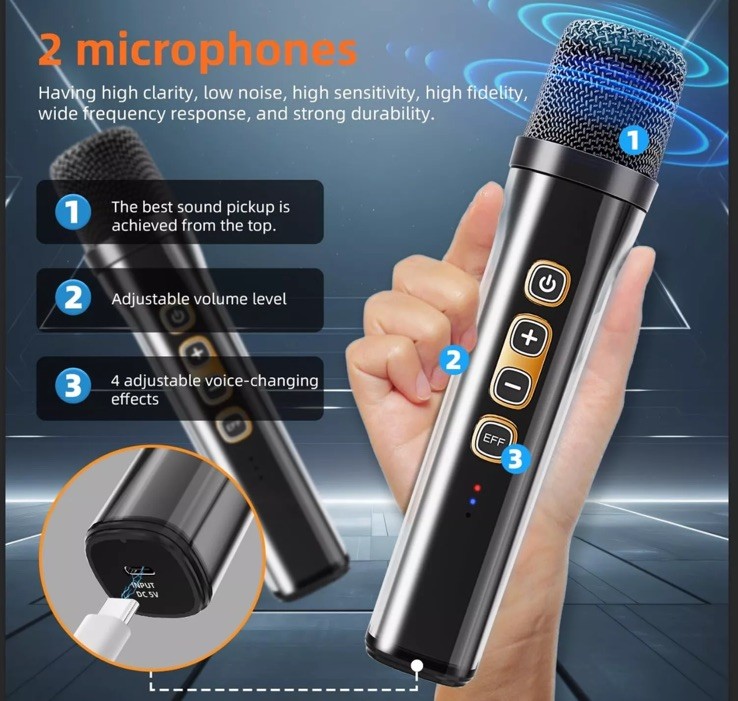 Karaoke Machine, Portable Bluetooth Speaker with 2 Wireless Microphones for A...