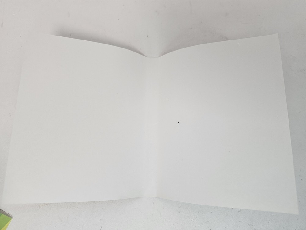 ps4 wwe 2k18 artwork only