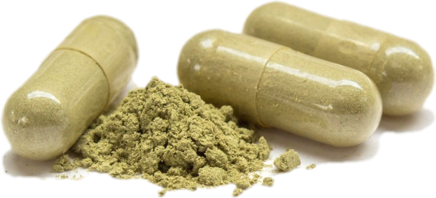 Colon Cleanse 🌿 Reset Your Gut Holistically with Intestinal Tune-Up