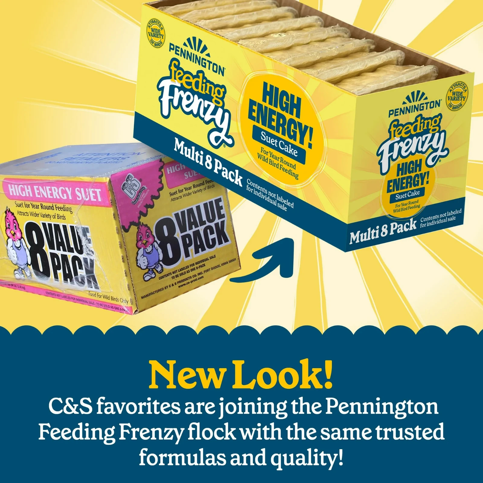 High Energy Suet Cake for Wild Birds Year-Round Feeding 8 Pack of 11.75 oz Cakes