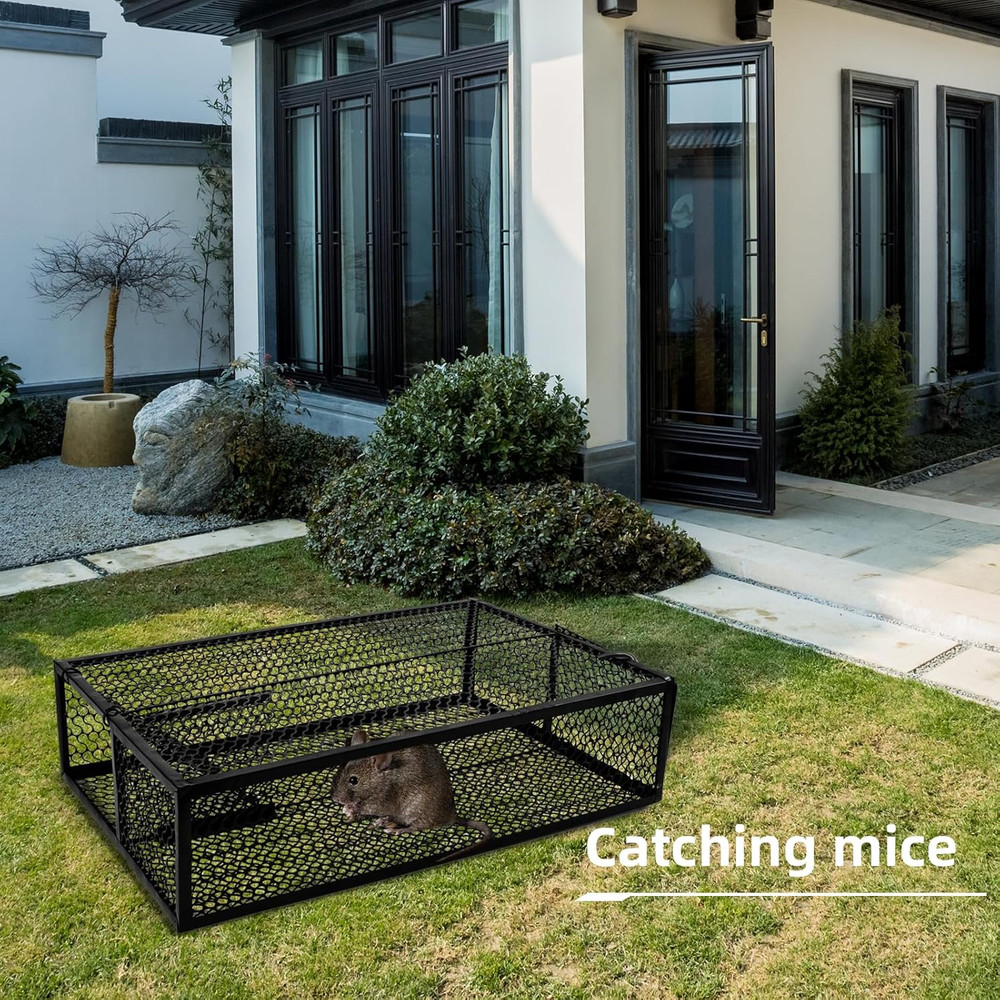 Snake Trap, Humane Capture Device for Unwanted Reptiles -Reusable!