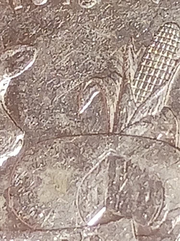 2004 P Wisconsin State quarter with leaf error, mint error 1st p mint leaf error