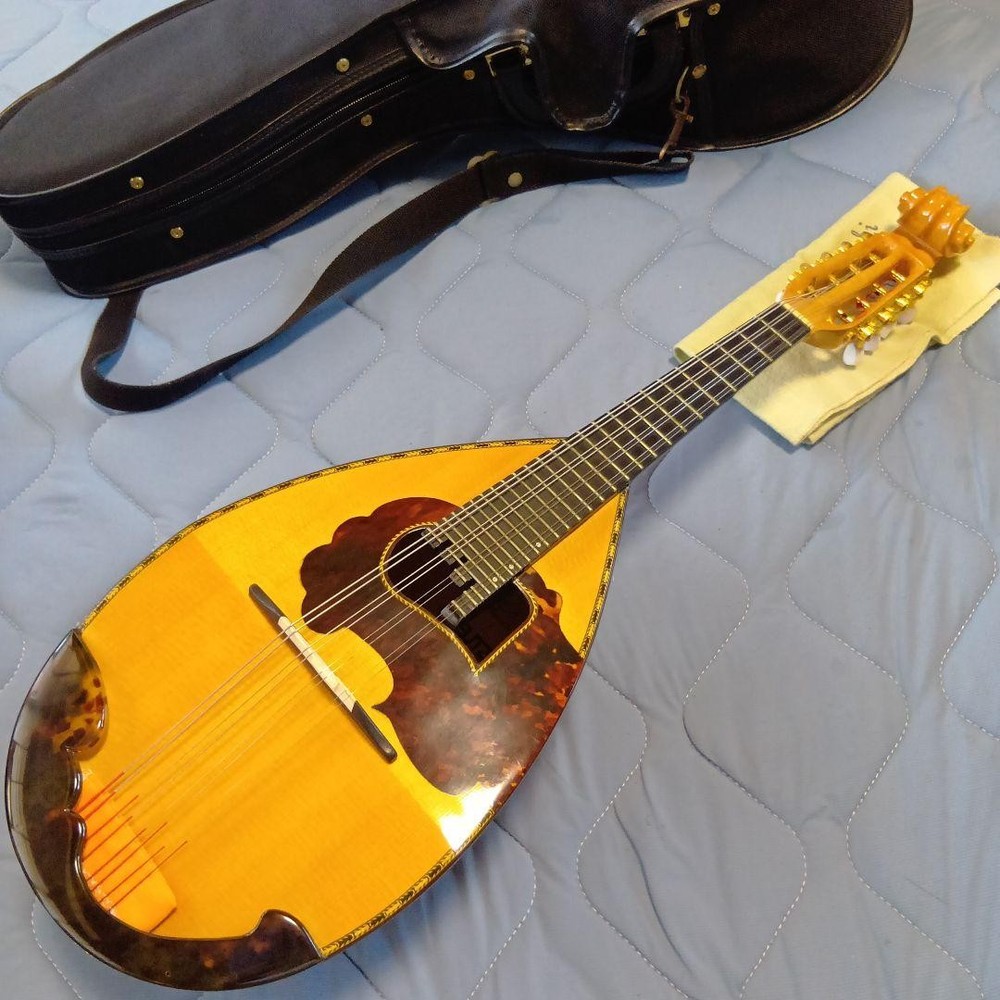 Mandolin 8 string orange with case