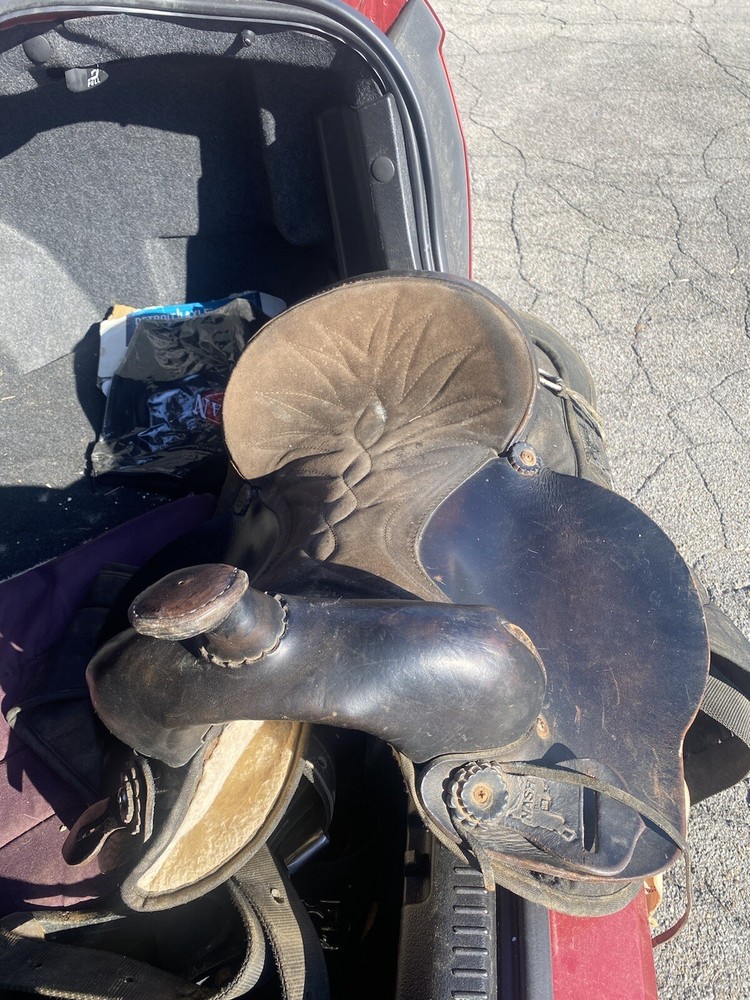 Saddle And Pad