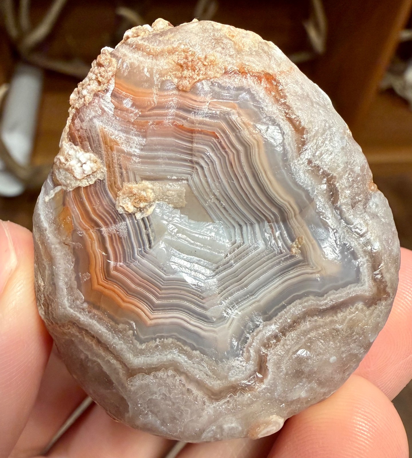 4.55oz LAKE SUPERIOR AGATE 2 GREAT FIRE & ICE COLORED BANDED FACES NEAT