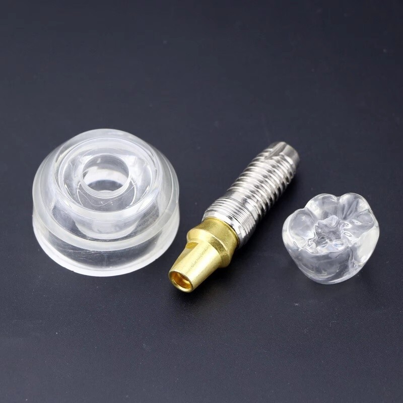 Dental Typodont Implant Teeth Model Demonstration Teeth Study Teach Model M2020