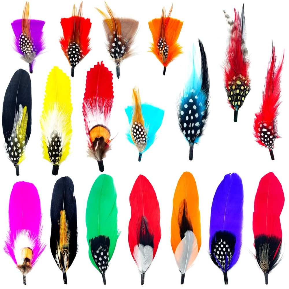 18 Pcs Hat Feathers, Assorted Feather for Fedora Hats, M, multicolored
