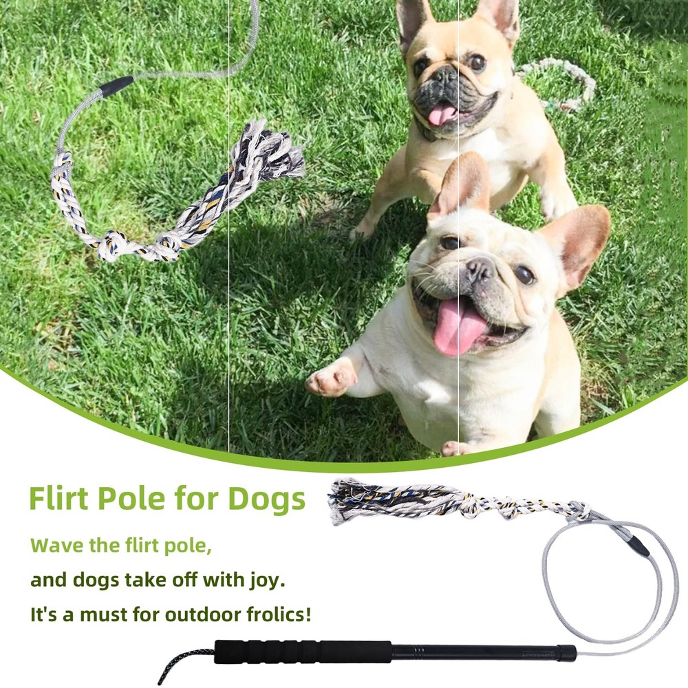 Durable Flirt Pole for Dogs - Interactive Training Tool for Small Medium Dogs