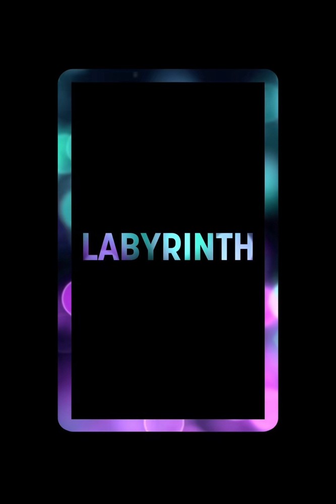 GradedGuard 🌌 Labyrinth PSA Graded Case Guard Protector Bumper New