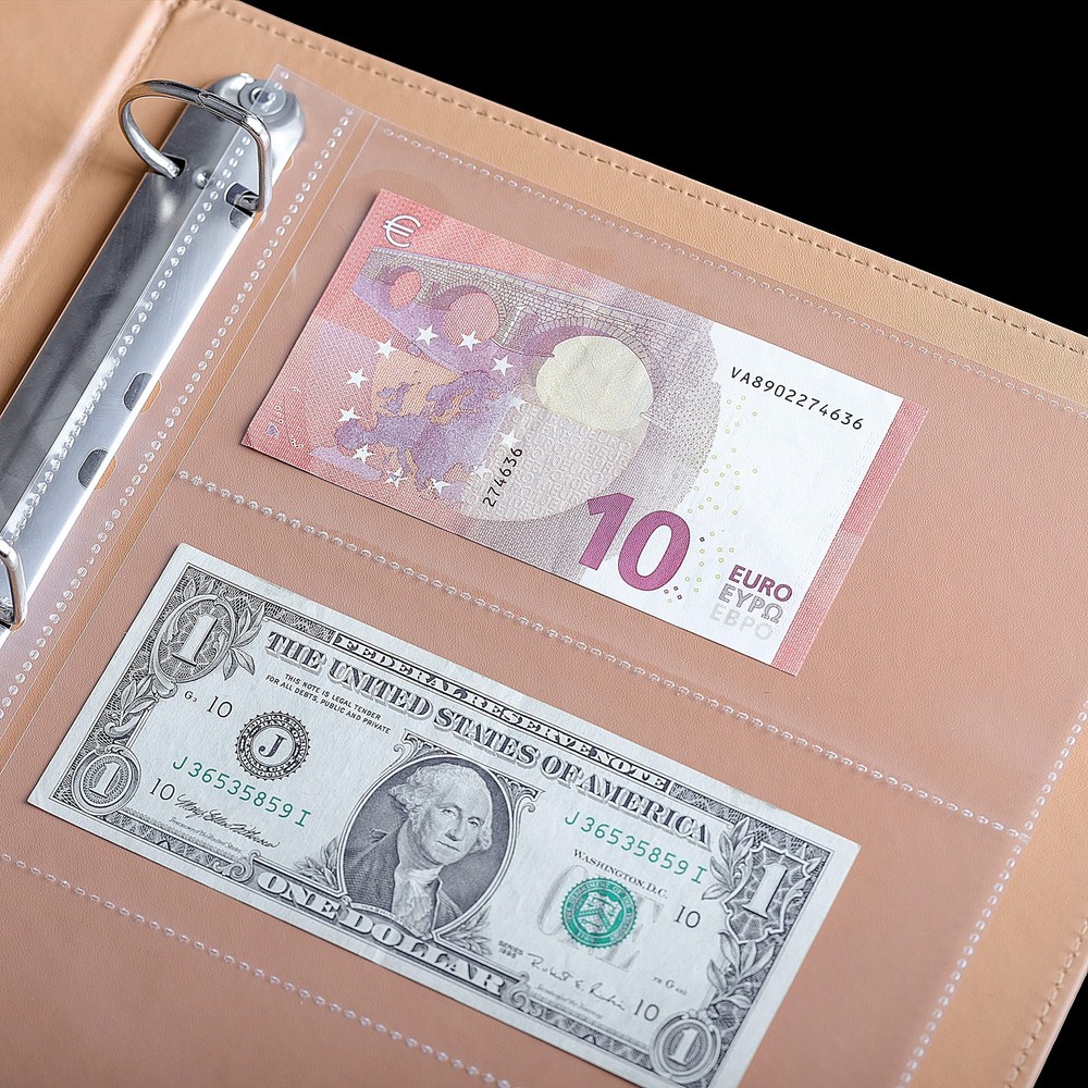 100 Sheets Currency Pages - 3 100 Sheets(3 Pockets/Sheet), Transparent