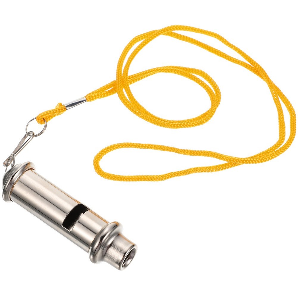 Bird Training Whistle Pet Training Gadget Pigeon Supply (Silver)
