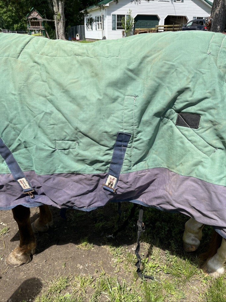 Schneiders Medium Weight 72” Blanket