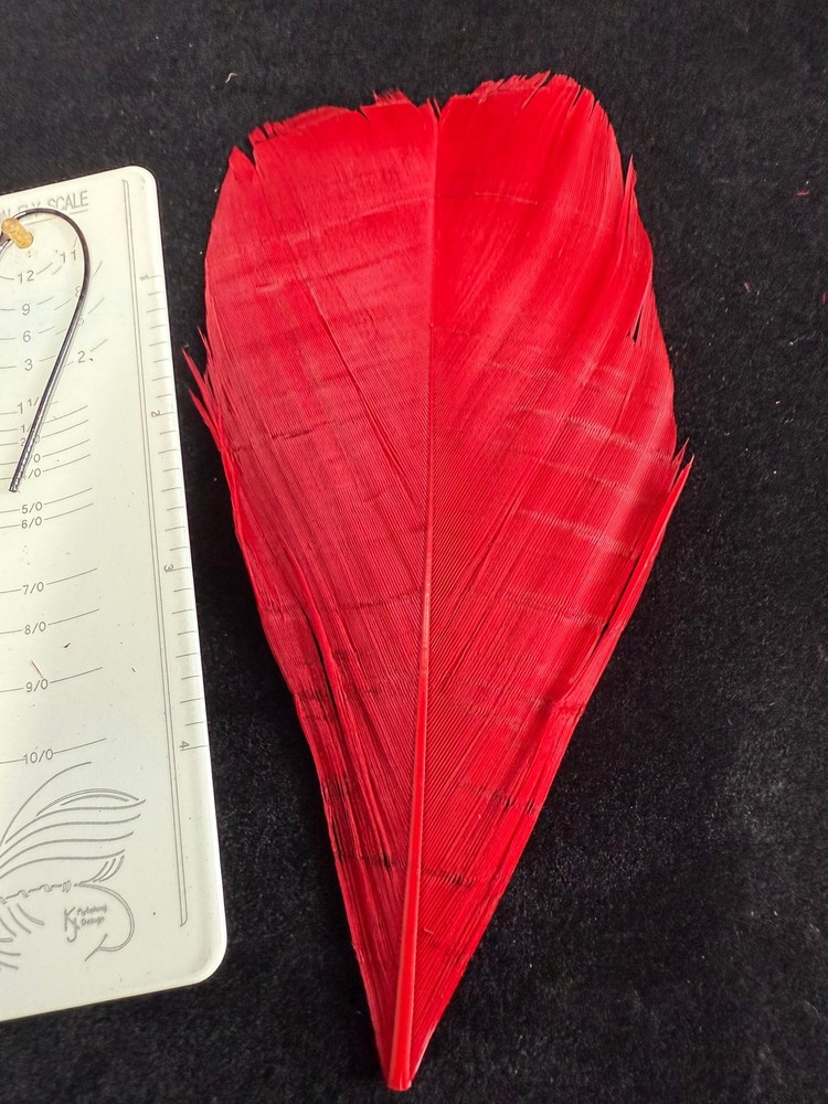 Dyed Turkey Center tail Feathers