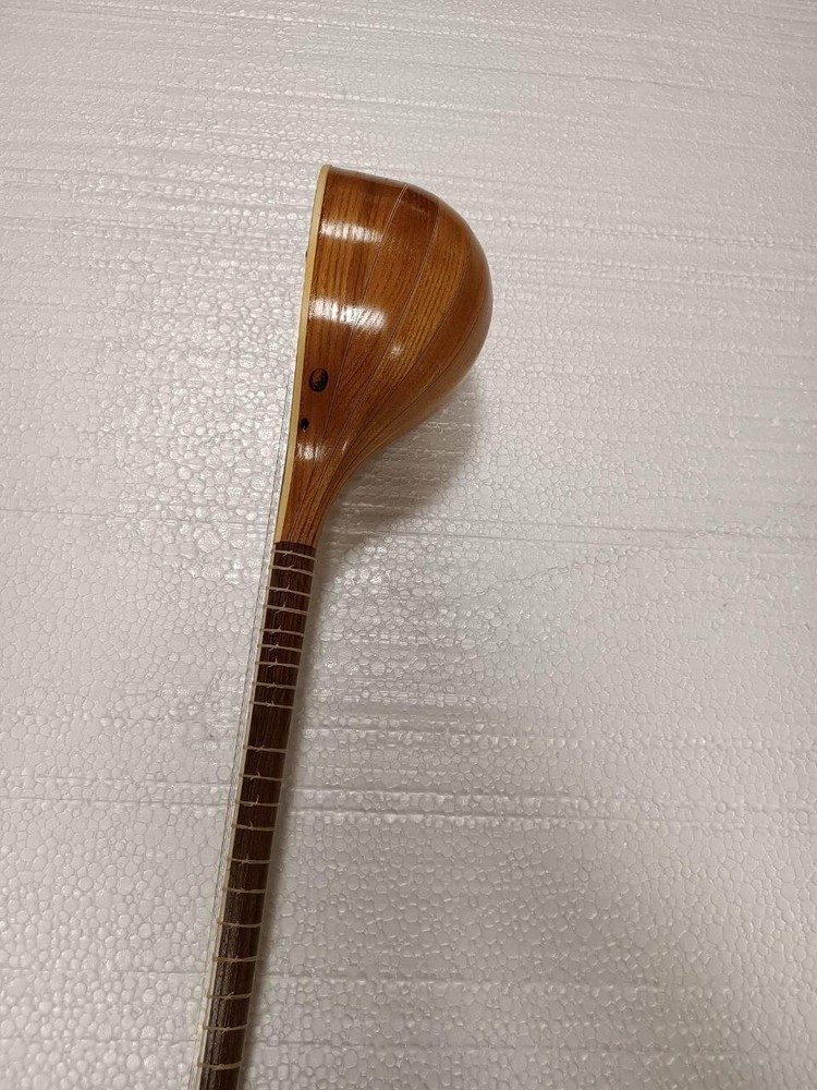 High quality professional Setar,Sehtar,Sitar with hard case