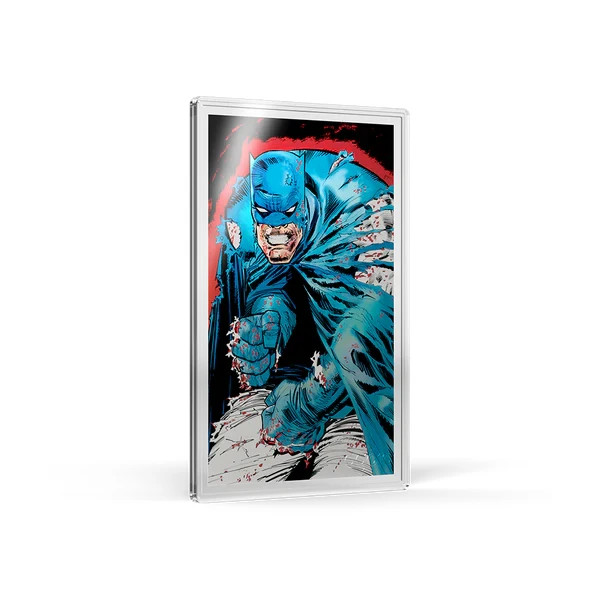 Batman: The Dark Knight Returns™ Blind Box (Single)