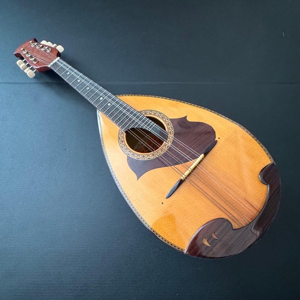 [Hard case ] SUZUKI Mandolin M-215