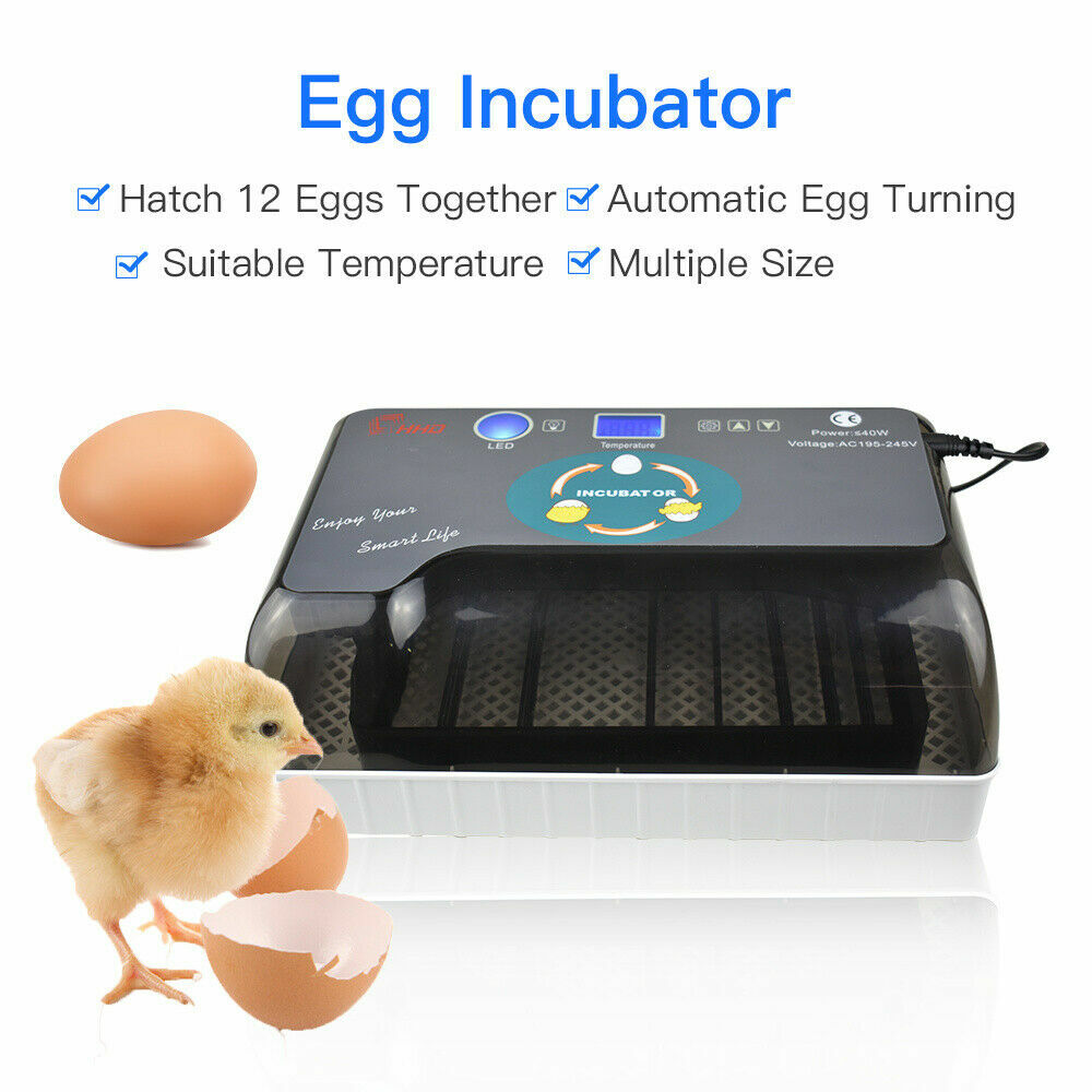 Incubator Automatic Digital Hatching 12 Eggs Mini Machine For Quail Chick Bird