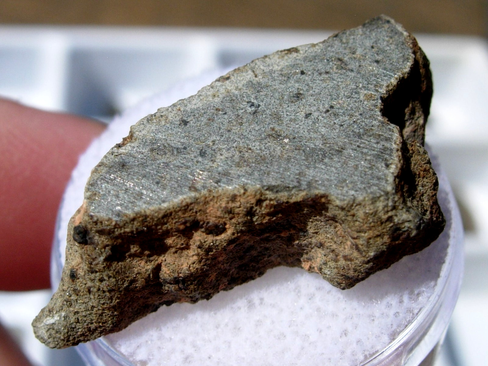 6.37 grams 33x13x8mm Amgala 001 Martian Meteorite SLICE one side Polished + COA