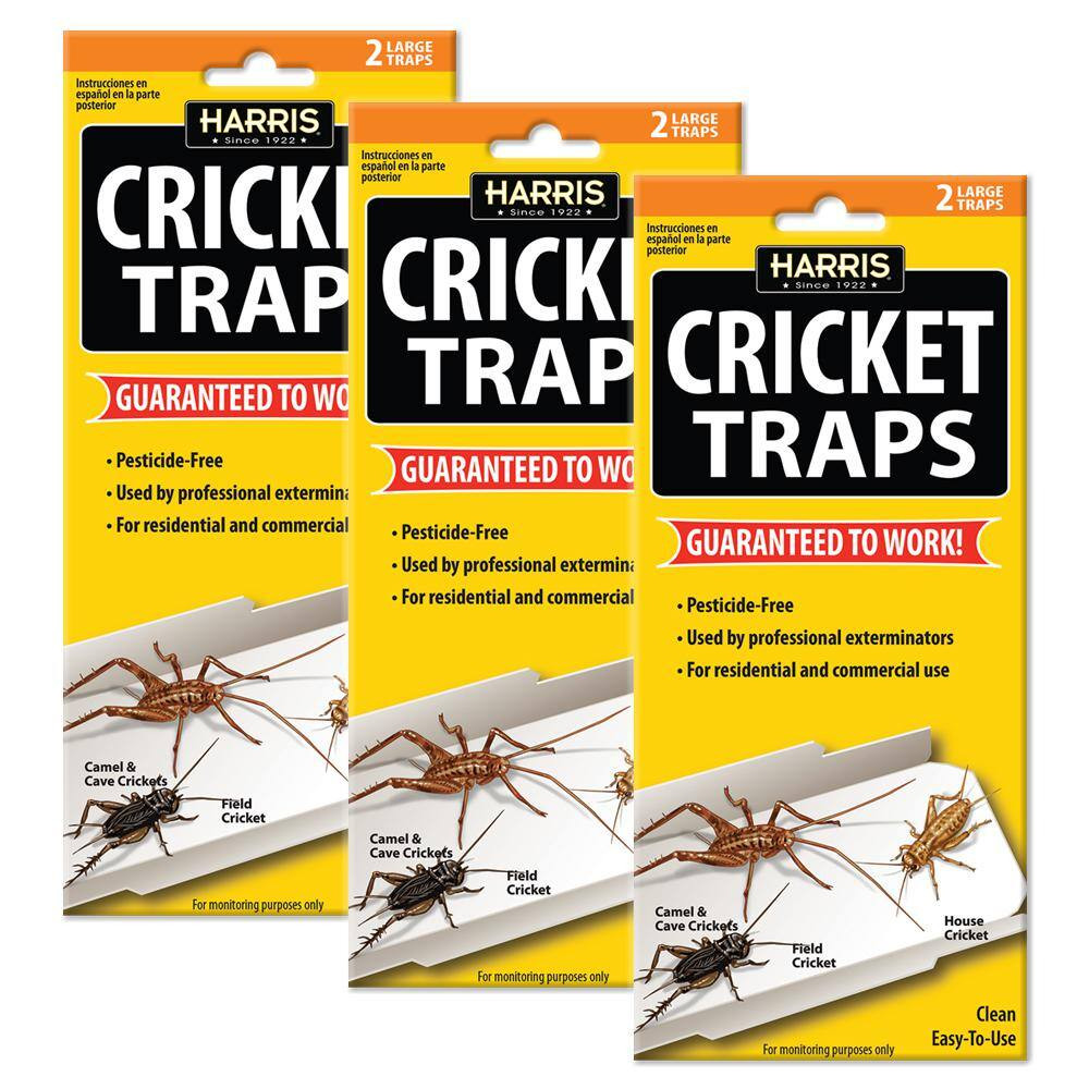 Cricket Glue Traps (6-Pack)