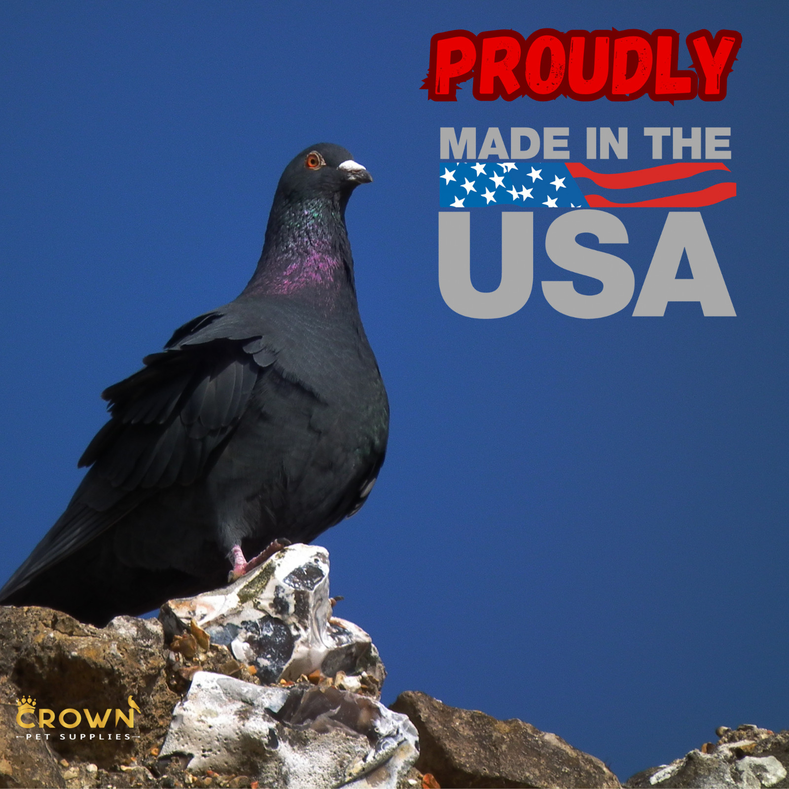 Treasure Supplement Pills, Fertility, Feather, Growth & Immunity For Pigeons