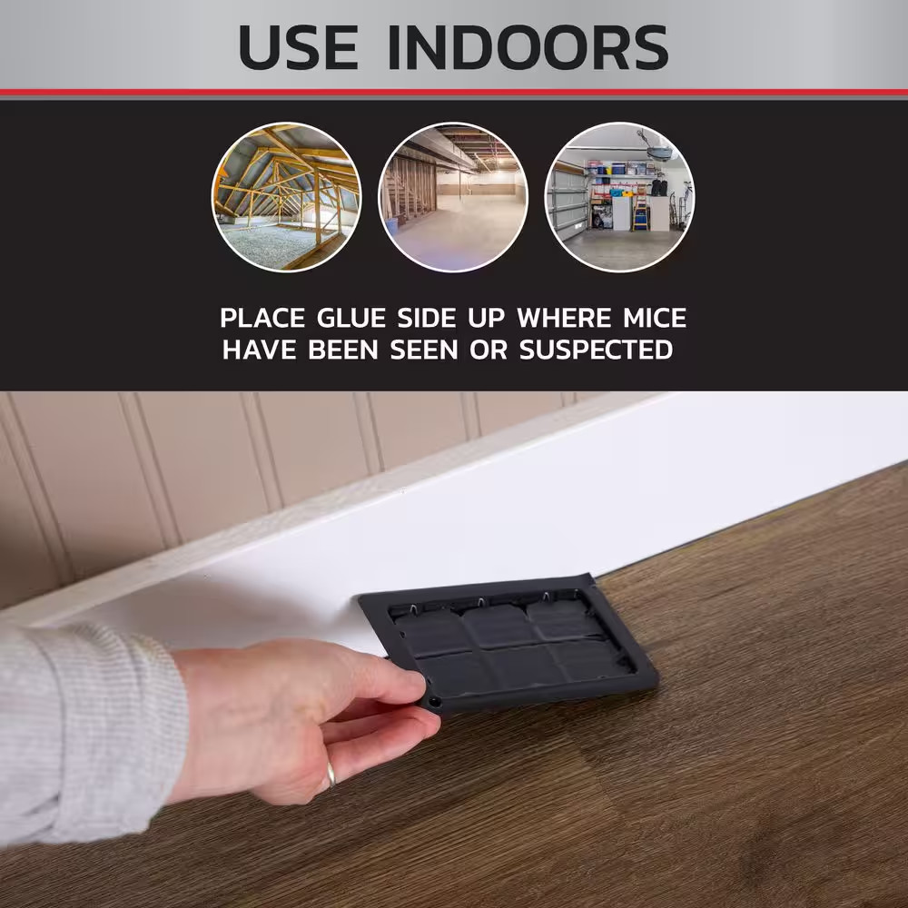 Mouse Glue Traps (4-Count) (2-Pack)