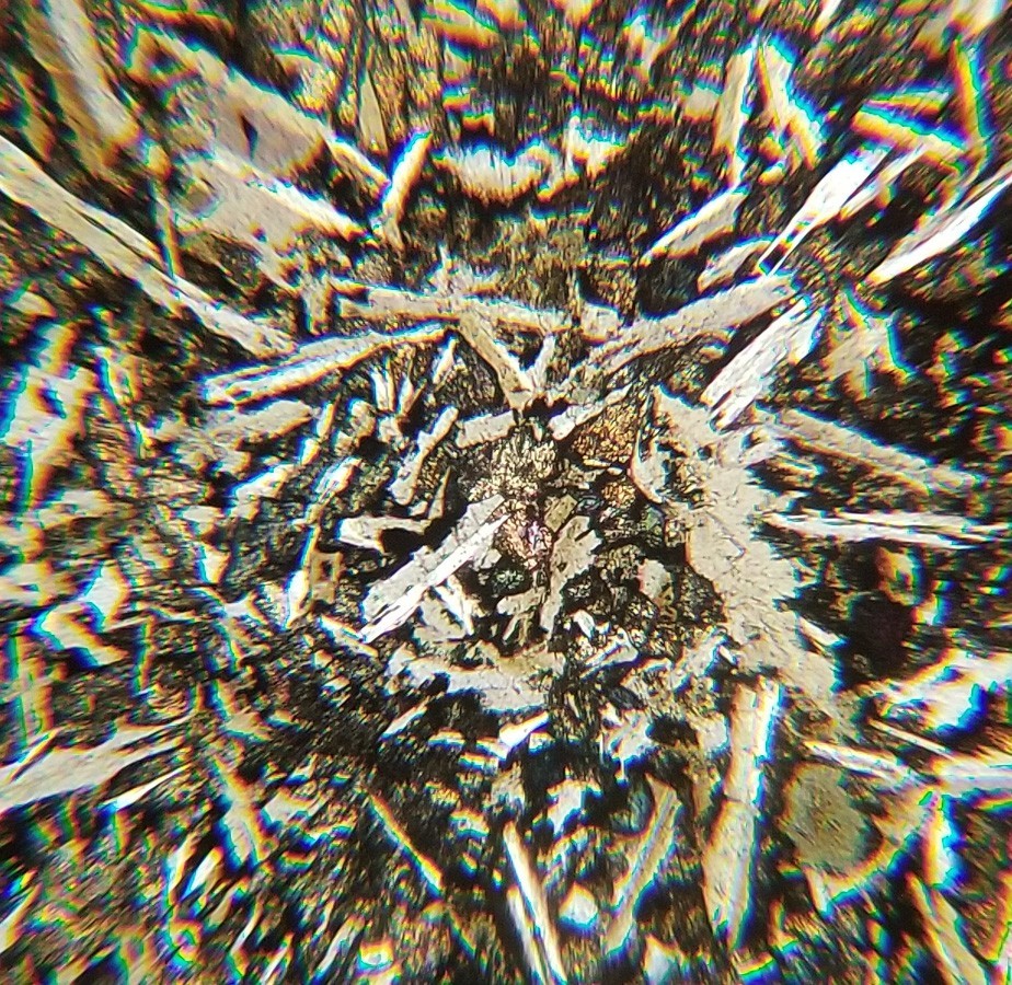 Thin-section Mount from DSDP Hole 483B Petrographic Microscope Slide 483B-25-2