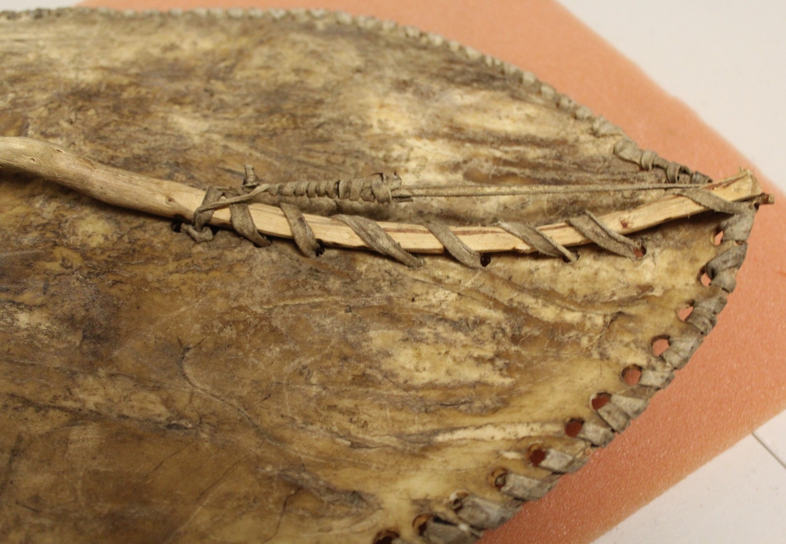 African Maasai Shield_Hand Painted on Hide