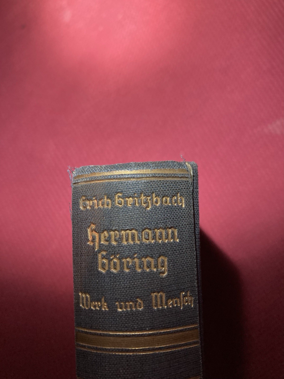 Hermann Göring Werk und Mensch Erich Gritzbach 1939 WWII Germany Militaria