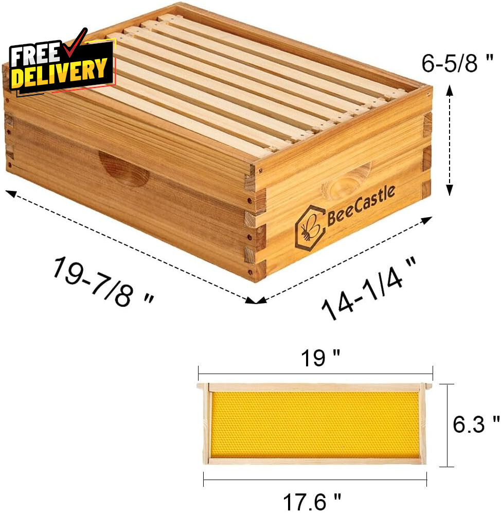 8-Frame Medium Langstroth Bee Hive Box Wax Dipped w Frames Wax Foundation