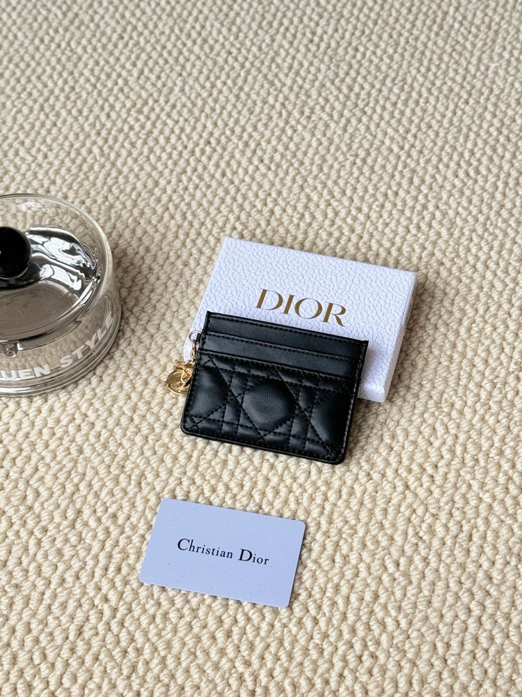 Dior makeup bag