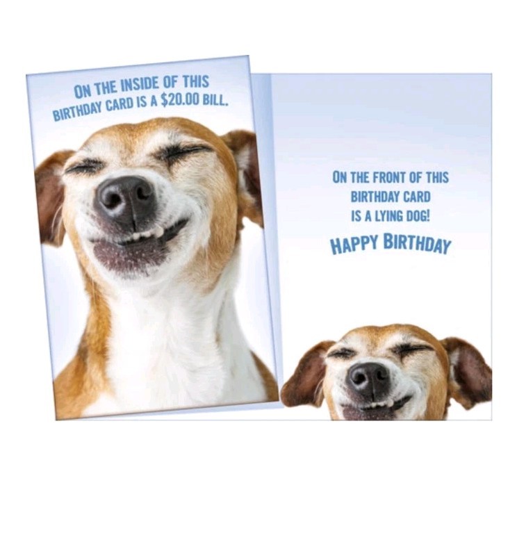 5 X 7 Inches Happy Birthday Greeting Card Funny Humor Cute SW