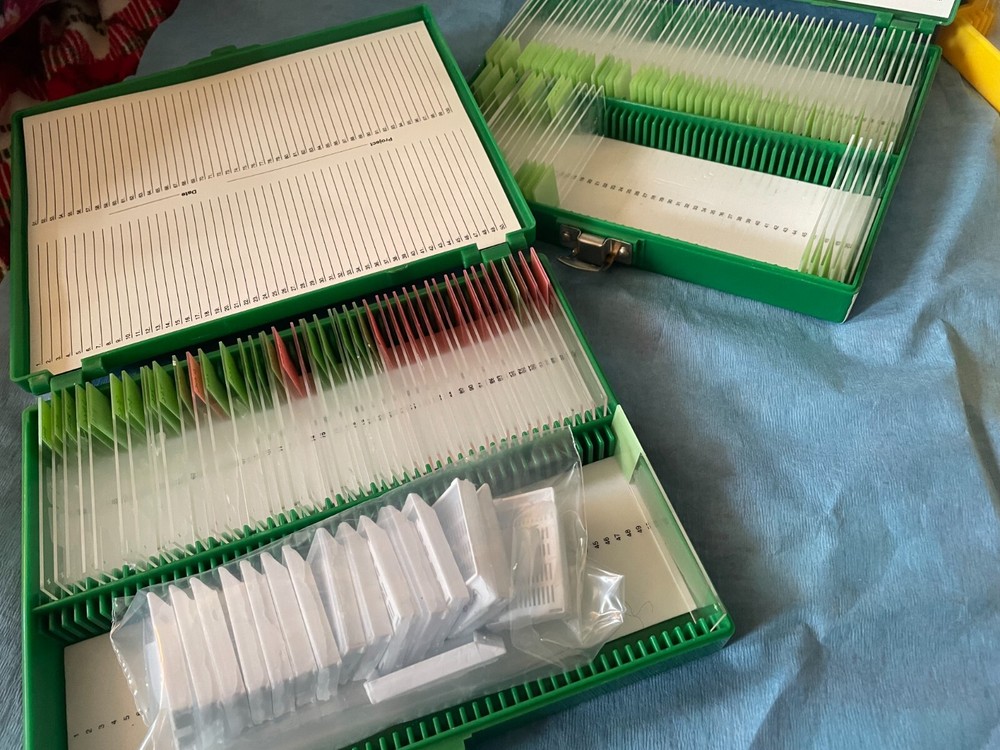 Four Microscope storage boxes with mouse tissues slides, 10,11,12,13