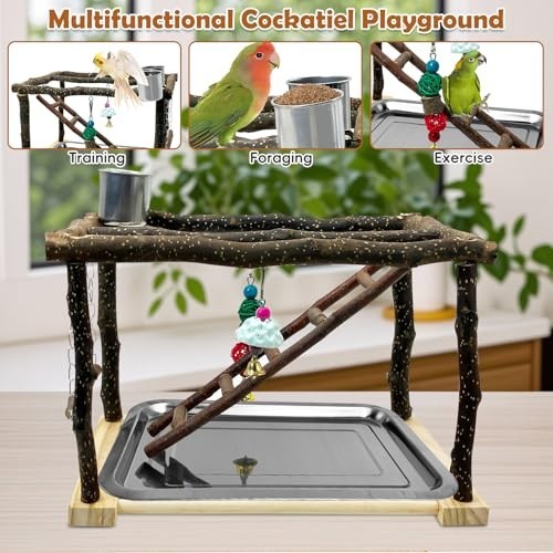 Bird Play Gym Stand for Parrots & Cockatiels - Wooden Perch, Climbing Ladders, C