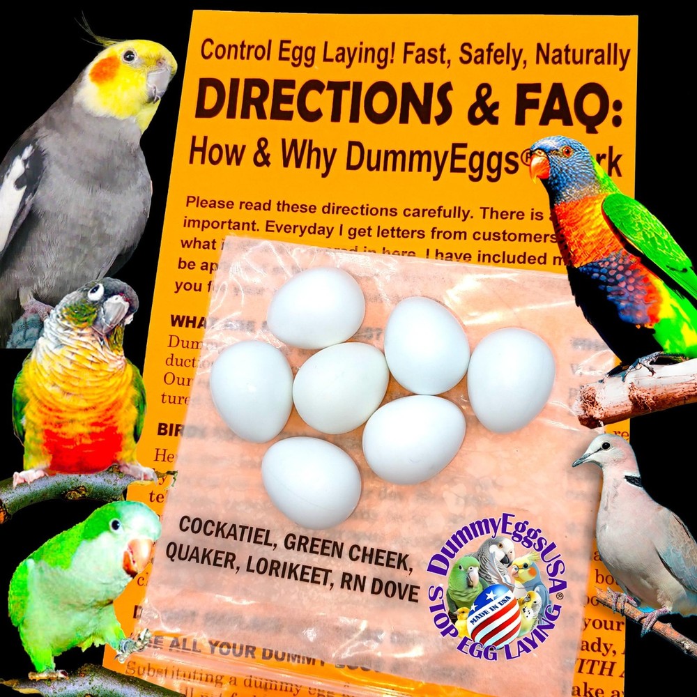 7 Cockatiel Dummy Bird Eggs - Stop Brooding & Laying! Solid Plastic Fake Eggs fo